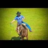 willrocha11