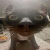 user6cqjf2w7if