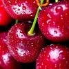 cherry200001