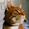 marcelvanbaal2