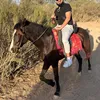 ehussain7