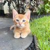 aloha_lbui