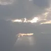 redee0084