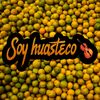 Soy Huasteco 🎻