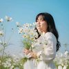 thaenusoe91222