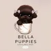 Bella Puppies