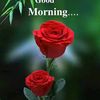 munirawan75