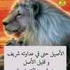 safa89_8