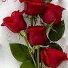 juganrajput2