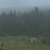 nikitalev45