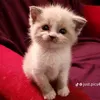 mariay_wx
