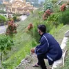 adeganang_