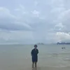 phanvietanhthoi