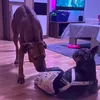 daisy_und_thala