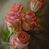 fatima.shah506