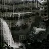 qq_1520