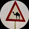 yousefelgamal525