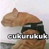 wyyy414