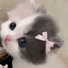 dgdhdvd.coozj