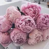 rosalie_1992