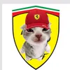 le_vrai_pica