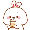 lilydayy33