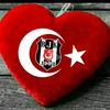 serhat5134bjk