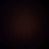 aldy___2
