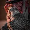 hamad_f16