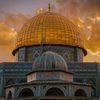 ahmedaly340