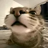 super_krutoy_pisunchik22
