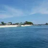vnrdeouf