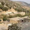 hamagyan51687