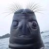 drew.__.oconnor