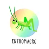 enthomacro