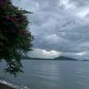 cah_ansal