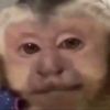 babybot512