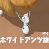 termiteofpainanddespair