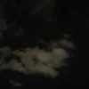 mafedeguerto213