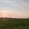 dzamastory02