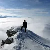 darsaldarsal4