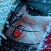 jonathan_p010