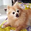 stelly_and_friends