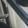 crisgonzls