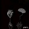 a.l.i.9.1.9