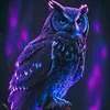 t0xic_0wl