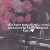 nare85598
