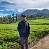 user9133082661333