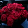 s__aamia