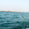 fa_973
